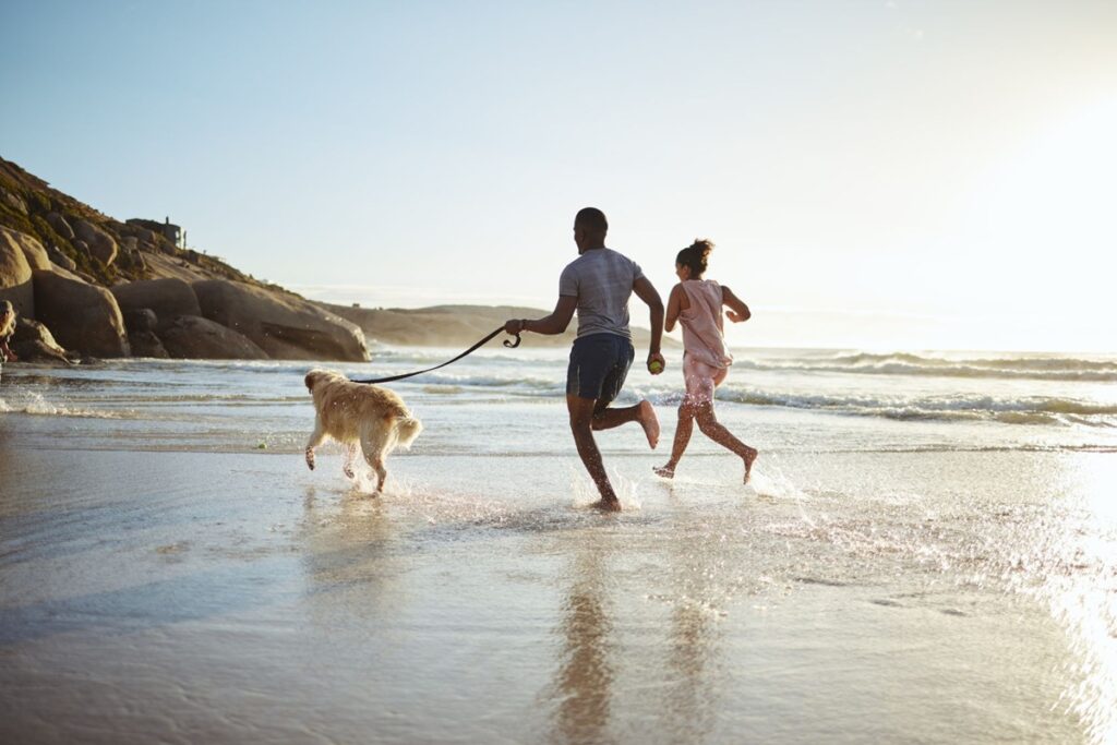 Los 5 destinos ideales para viajar con mascota sin complicarte en el 2026 »