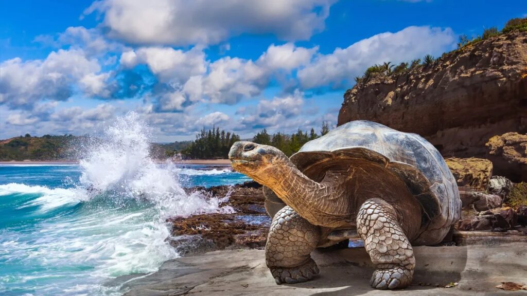Los 5 parques nacionales del mundo para ver fauna salvaje »